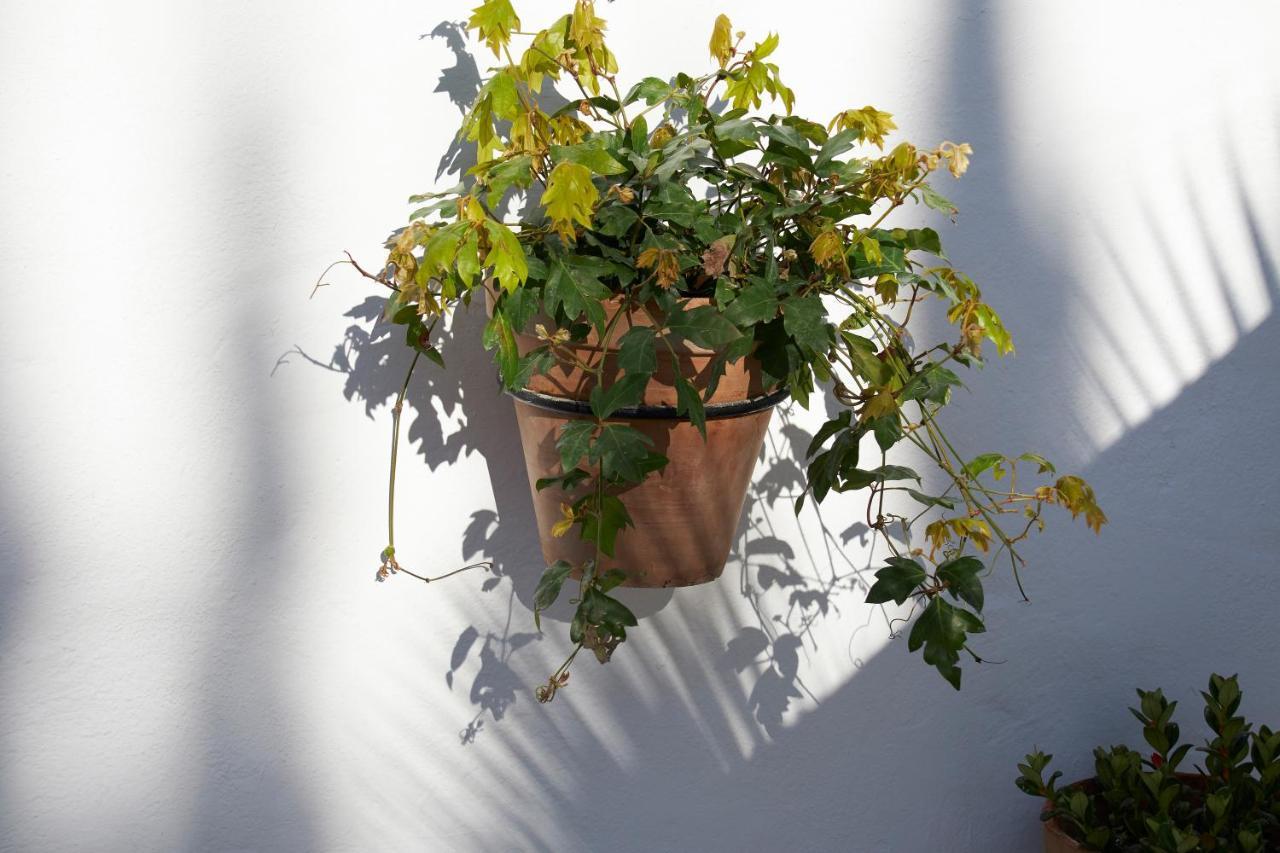 El Molino Estepona Eksteriør bilde